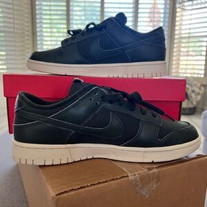 Brand New in Box! Men’s Nike Dunk Retro